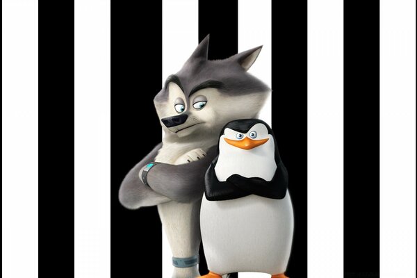 Der Wolf und der Pinguin aus dem lustigen Cartoon Madagaskar