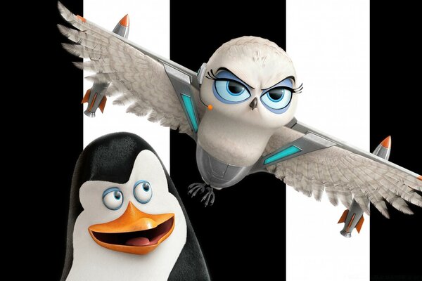 The penguin from the cartoon Madagascar with an owl