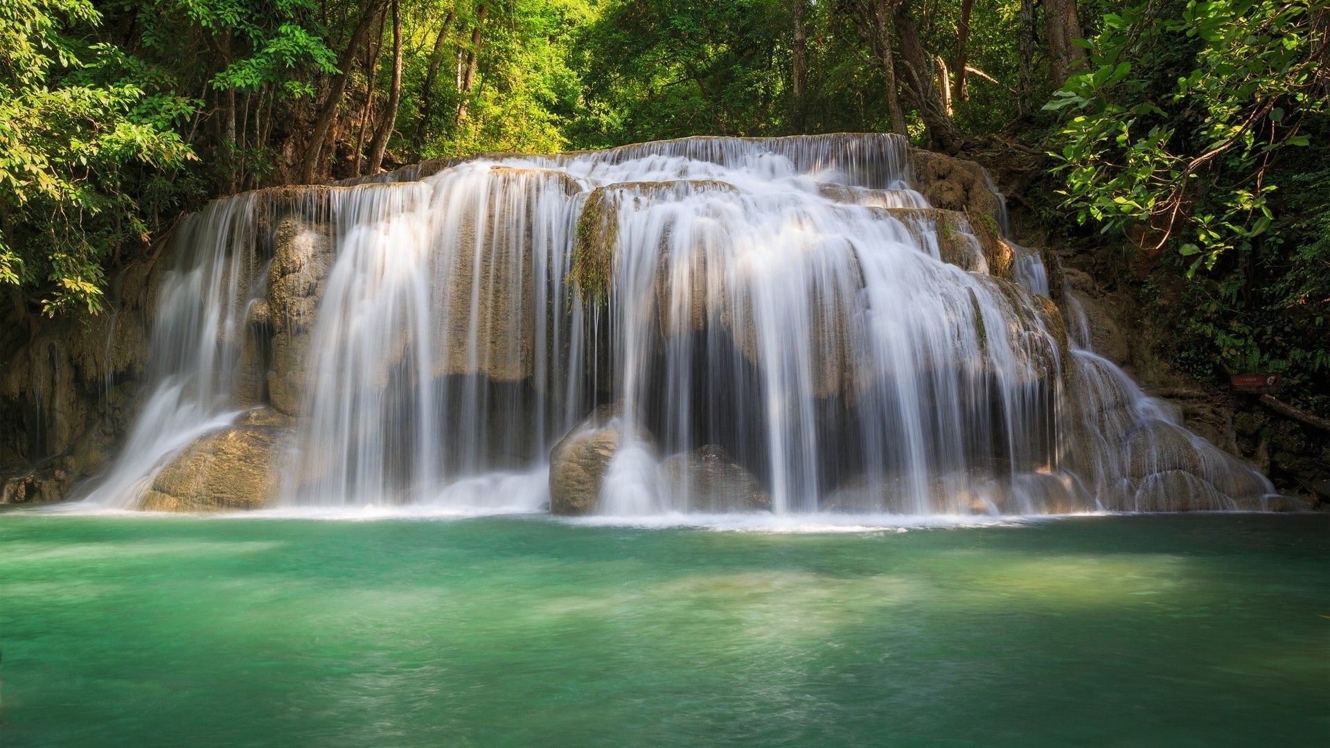 cascate cascata acqua flusso fiume natura cascata legno flusso purezza foglia roccia autunno bagnato all aperto splash movimento creek lussureggiante pulito