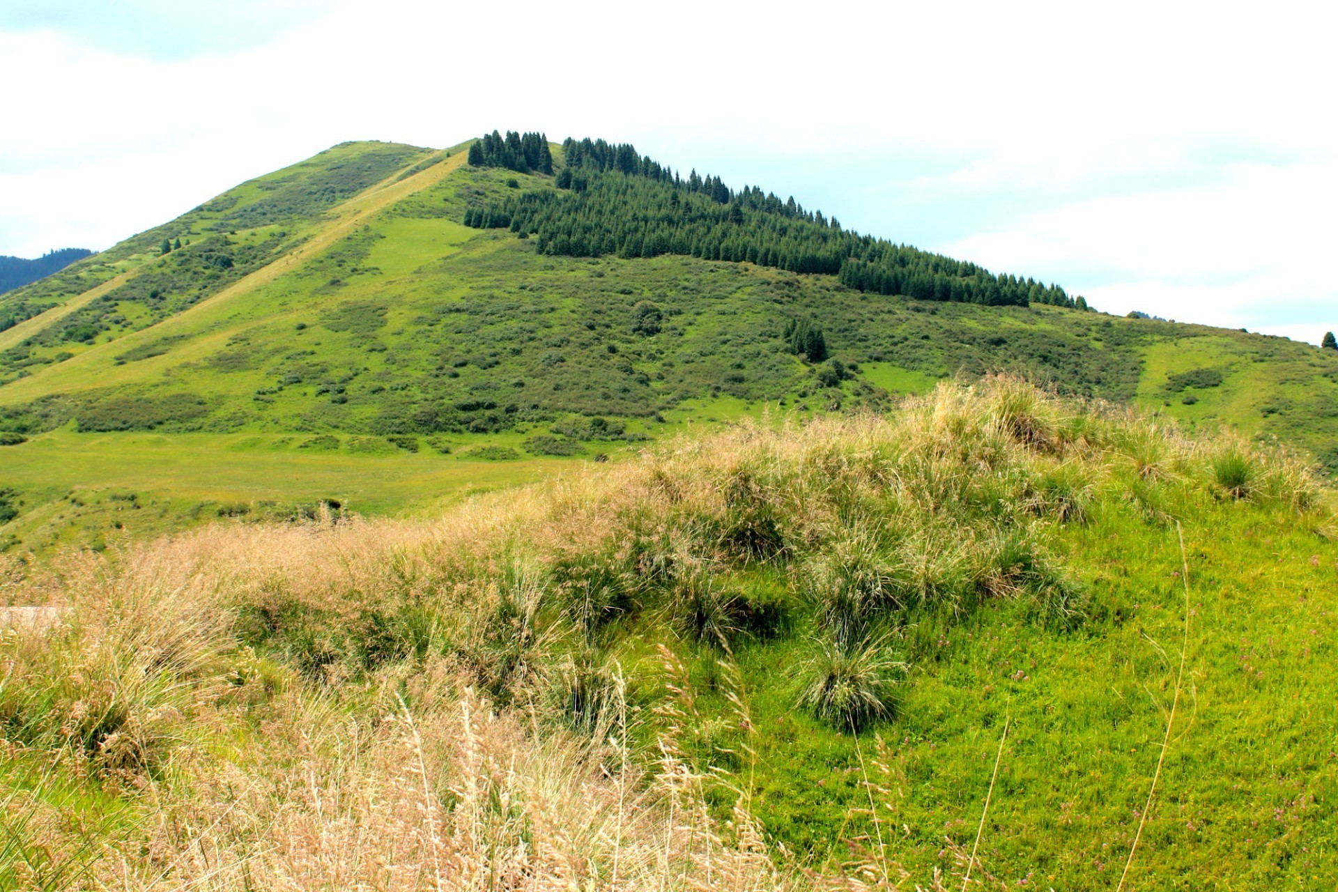 fields meadows and valleys landscape nature grass hill mountain travel summer hayfield sky scenic field outdoors tree sight flora environment rural countryside scenery