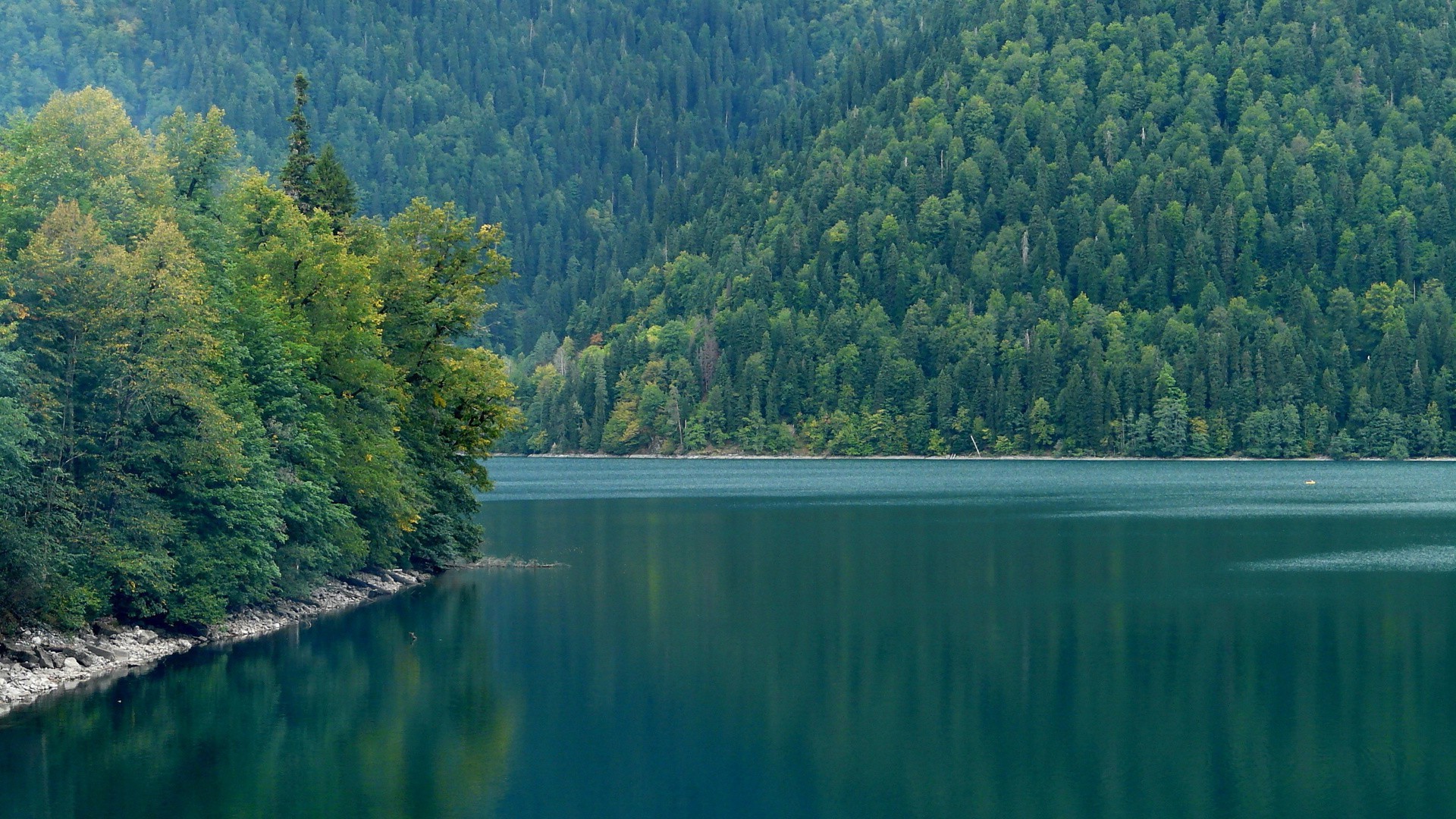 ríos estanques y arroyos estanques y arroyos agua paisaje árbol lago naturaleza madera viajes río al aire libre luz del día escénico cielo reflexión verano