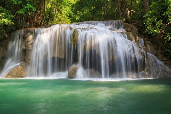 Hermosa cascada en la selva