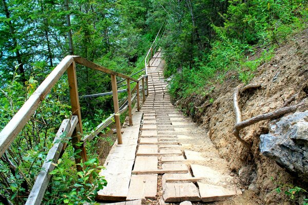 Di legnola strada nel cuore della natura