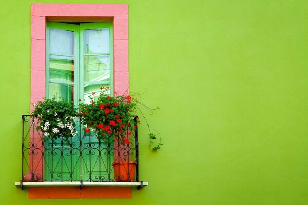 Balcony with flowers on a green wall background