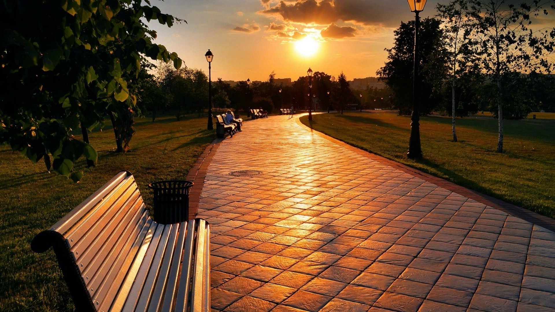 günbatımı ve şafak günbatımı seyahat açık havada ağaç şafak ışık manzara park doğa gökyüzü