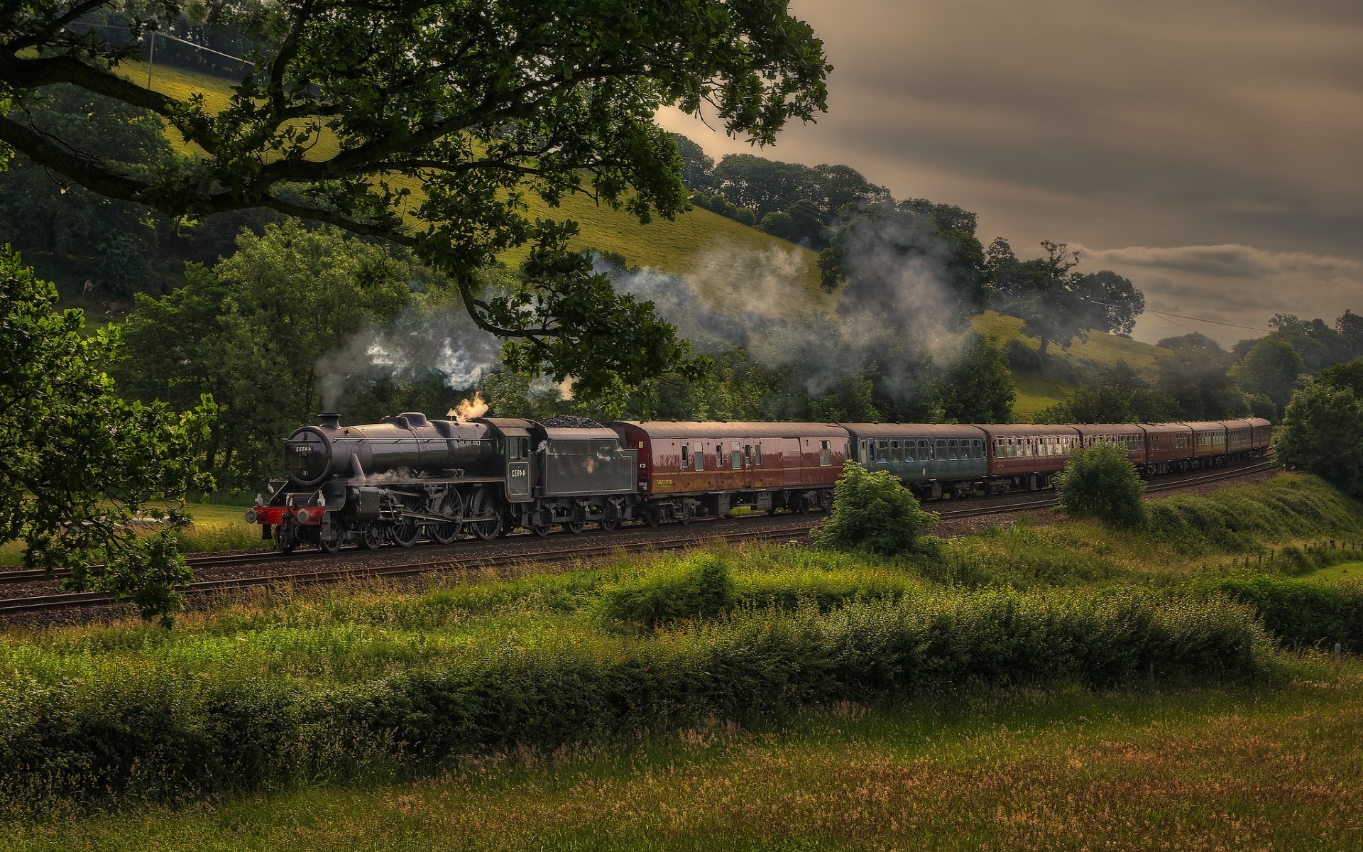 trains voiture paysage arbre système de transport ferroviaire en plein air l agriculture voyage lumière du jour train