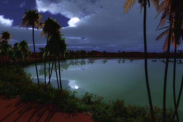 Laguna entre palmeras a la luz de la Luna