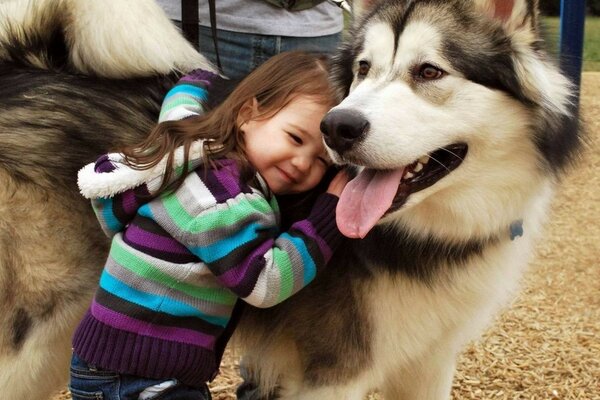 Mädchen kuschelt sich an ihren Lieblingshund Husky