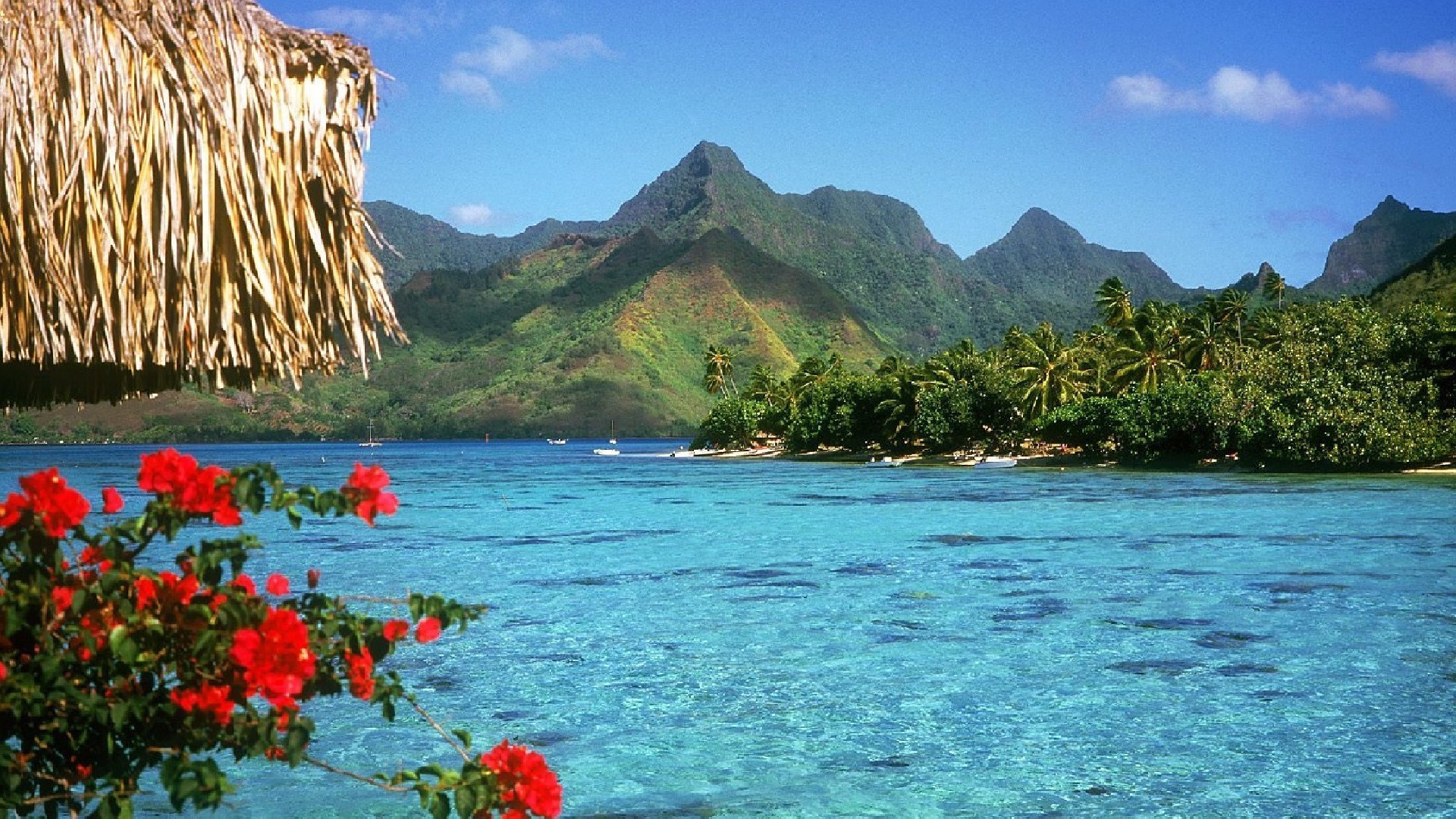 mare e oceano viaggi acqua isola mare spiaggia tropicale oceano vacanza mare baia natura paesaggio turchese idillio esotico laguna estate paesaggio paradiso