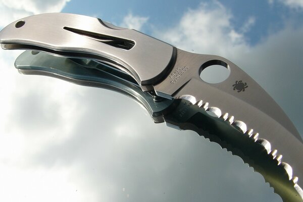 شارب الفولاذ المقاوم للصدأ سكين صغير