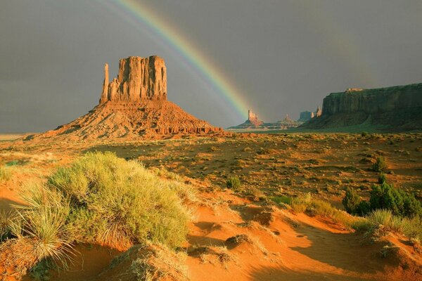 Arc-en-ciel sur un champ désertique