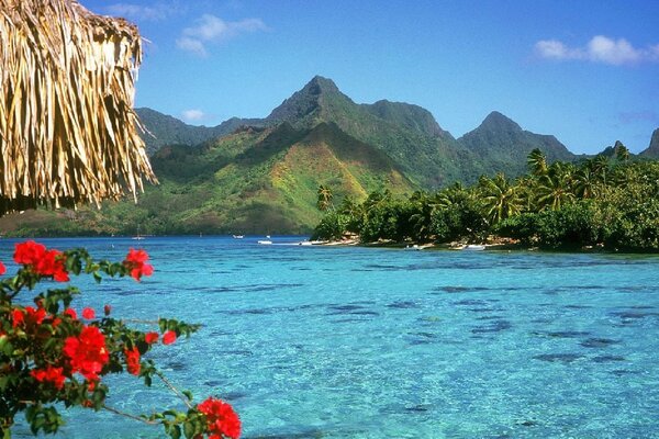 Viaje a una isla junto al océano