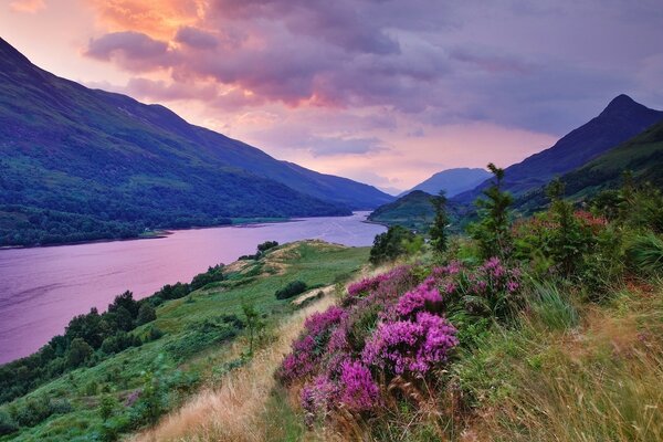 Pink river, beautiful sunset