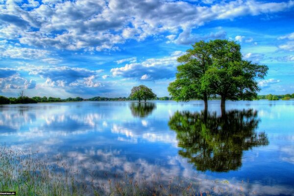 Hermoso paisaje del río y el cielo