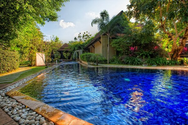 Piscina en frente de la casa rodeada de vegetación