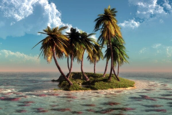 Tropical palm trees on an island in the sea