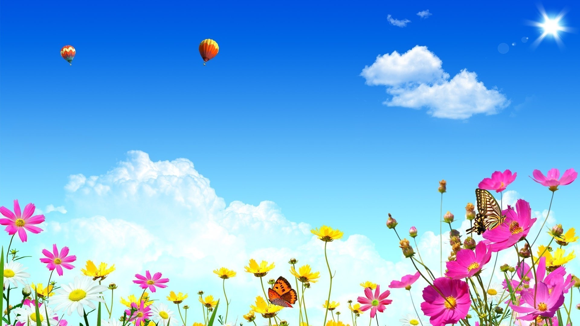 himmel sommer blume natur feld himmel heuhaufen flora gras sonne hell gutes wetter jahreszeit farbe blumen