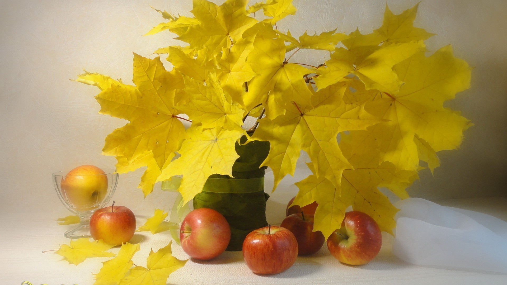 food & drink fall leaf nature desktop maple season color bright thanksgiving flora decoration still life gold