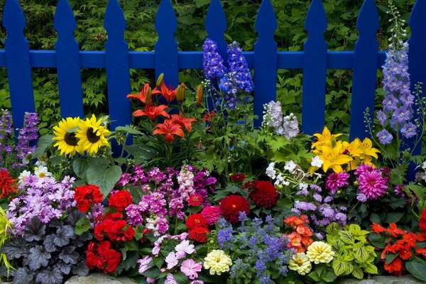 Joli jardin avant. Fleurs de grand-mère