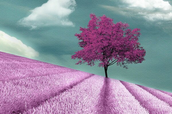 A combination of purple shades in a summer landscape against the sky