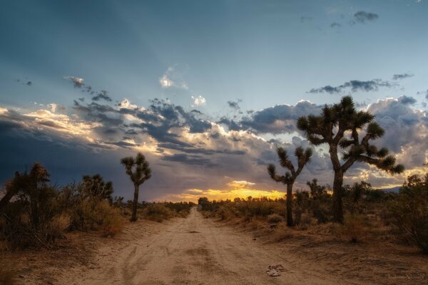 Hermoso cielo sobre el camino en el desierto