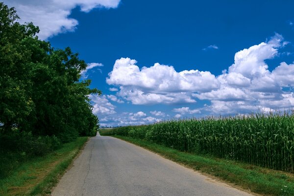 Die Straße entlang des grünen Feldes und des blauen Himmels