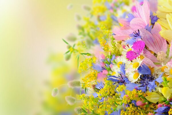 Beautiful bouquet of summer wildflowers