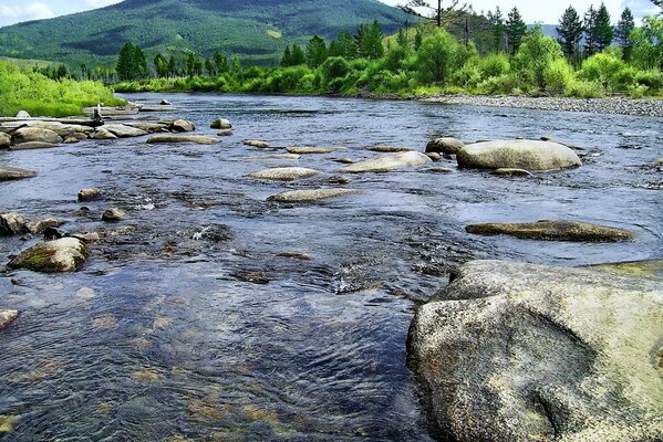 La rivière de montagne est étonnamment belle