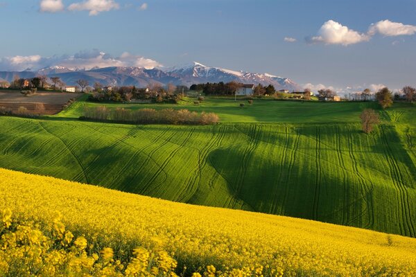 Blick auf die grenzenlosen Felder, Wiesen und Täler