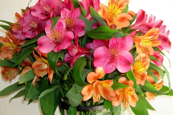 Beautiful bouquet of pink and orange flowers