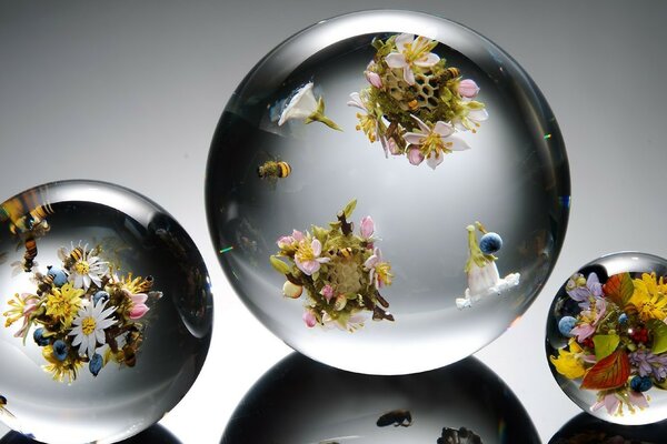 Three transparent balls inside with flowers