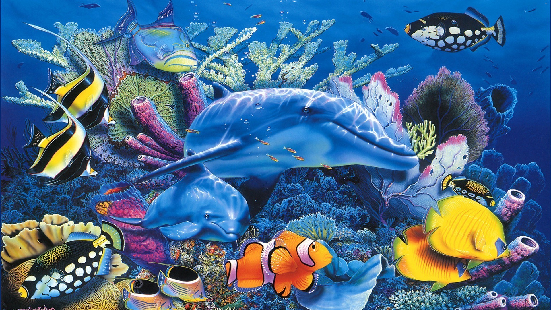 animali subacquea pesce coral reef ocean aquarium marine diving tropicale acqua di mare invertebrati snorkeling nuoto acquatico scuba colore