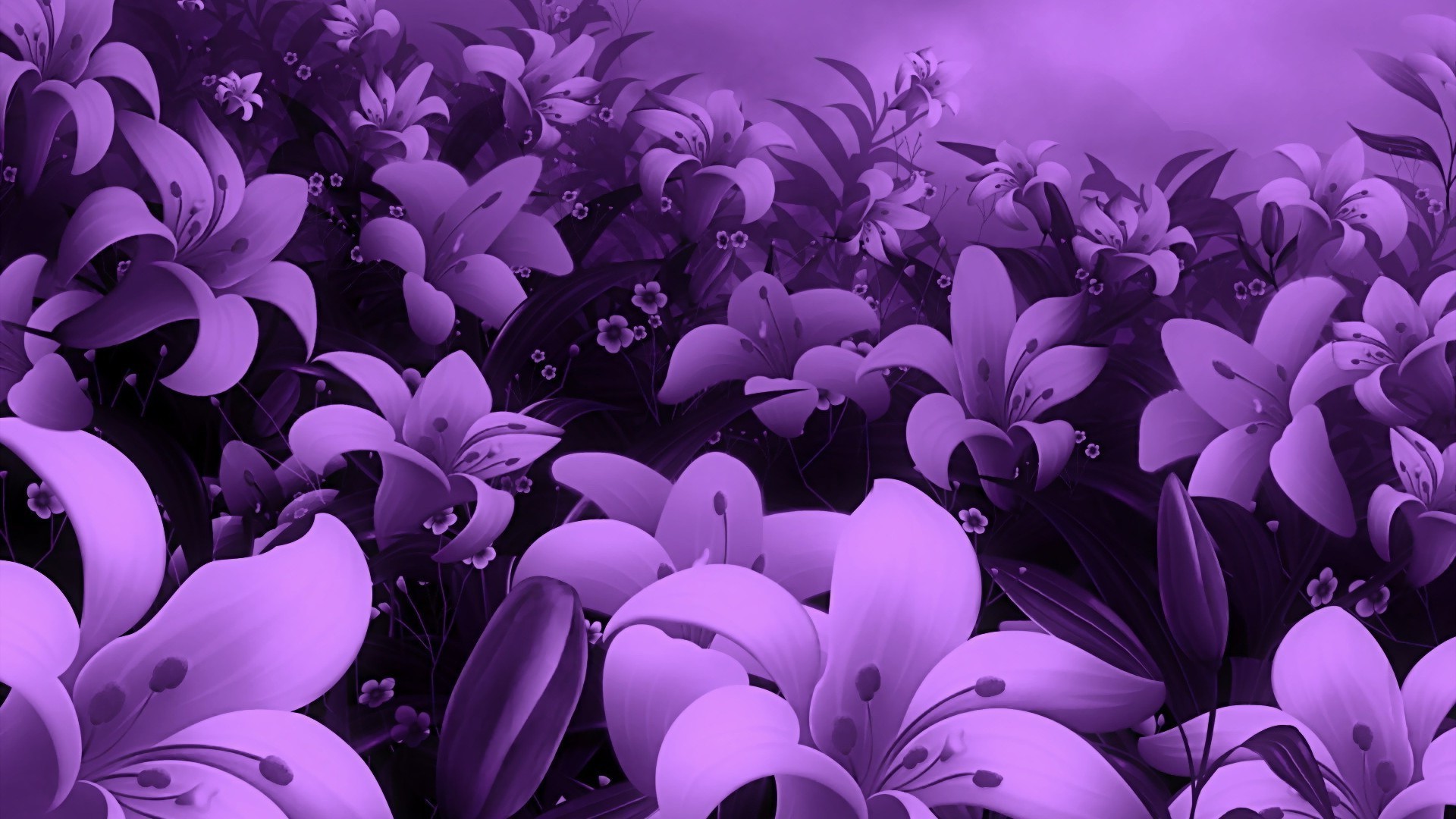 flores flor naturaleza flora floral hoja pétalo brillante verano hermoso color decoración escritorio blumming