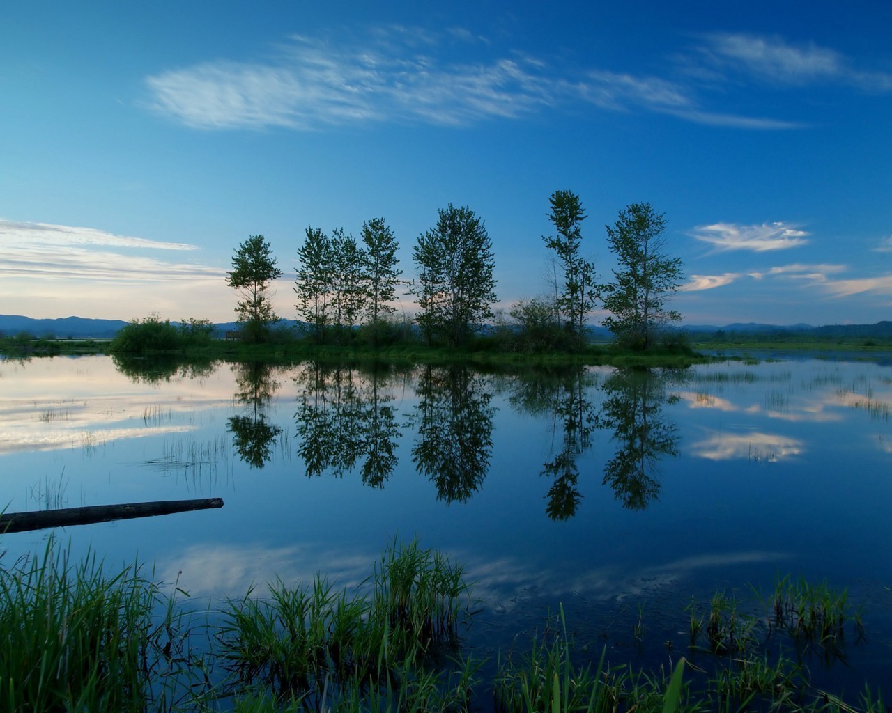 flüsse teiche und bäche teiche und bäche see wasser reflexion baum landschaft natur himmel im freien sommer dämmerung fluss tageslicht landschaftlich gras plesid