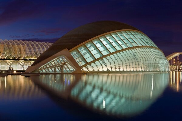 Stadt der Wissenschaften in Valencia bei Nacht