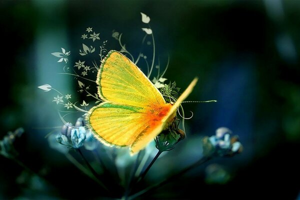 An illuminated yellow butterfly sits on small flowers on a dark background