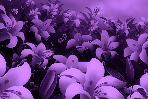 Purple flowers background wallpaper