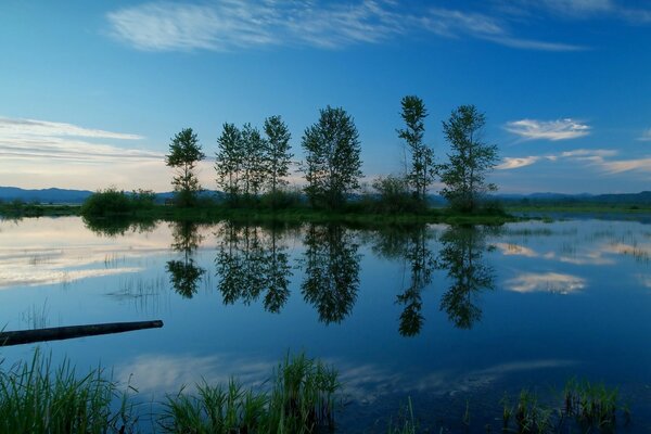 Өзендегі жазғы кеш