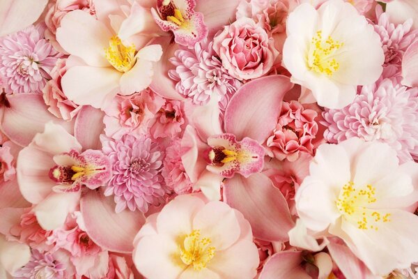 Fleurs blanches et roses bouchent