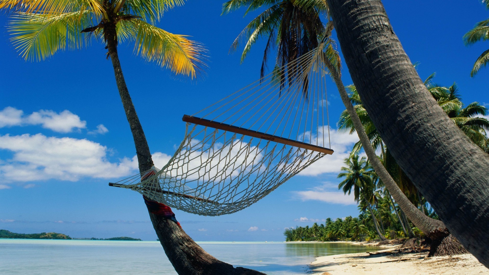 mare e oceano tropicale spiaggia palme esotico acqua sabbia oceano estate viaggi mare vacanza paradiso cocco isola resort cielo relax albero idillio