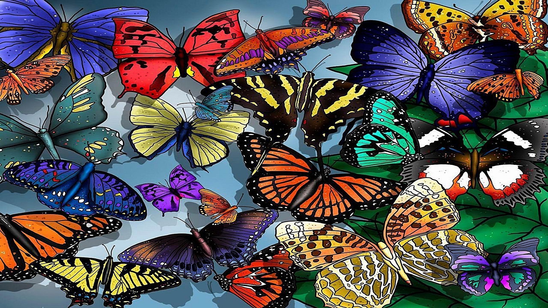 animals butterfly pattern insect art wing abstract design decoration summer nature flower illustration graphic bright texture color wallpaper vector creativity