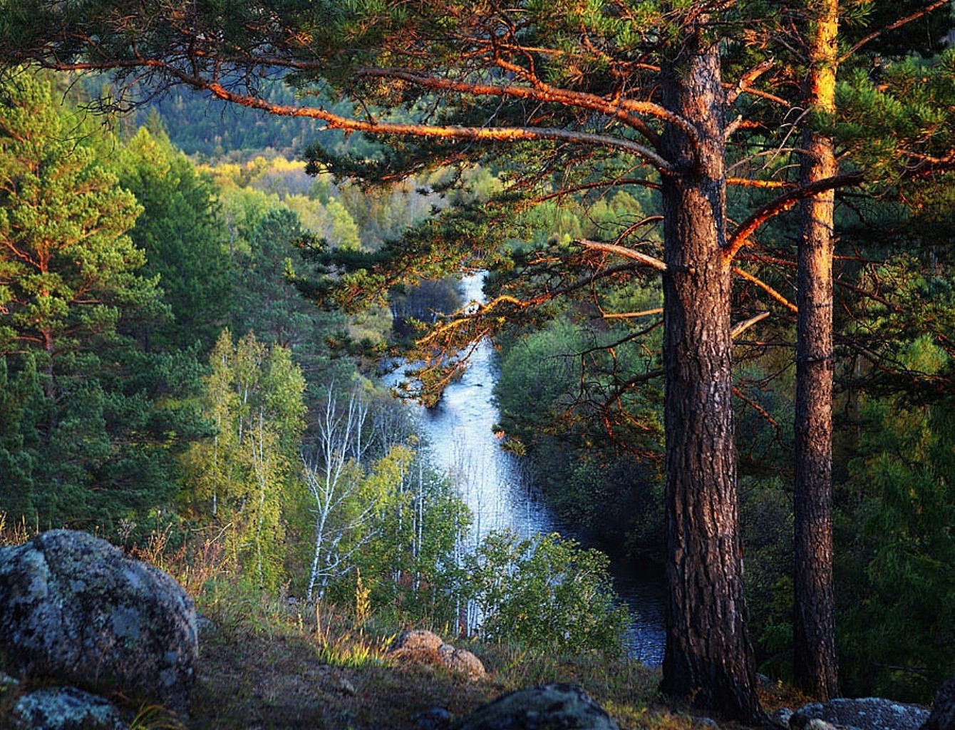 forest wood water landscape fall tree nature outdoors river travel conifer leaf lake park scenic dawn evergreen wild