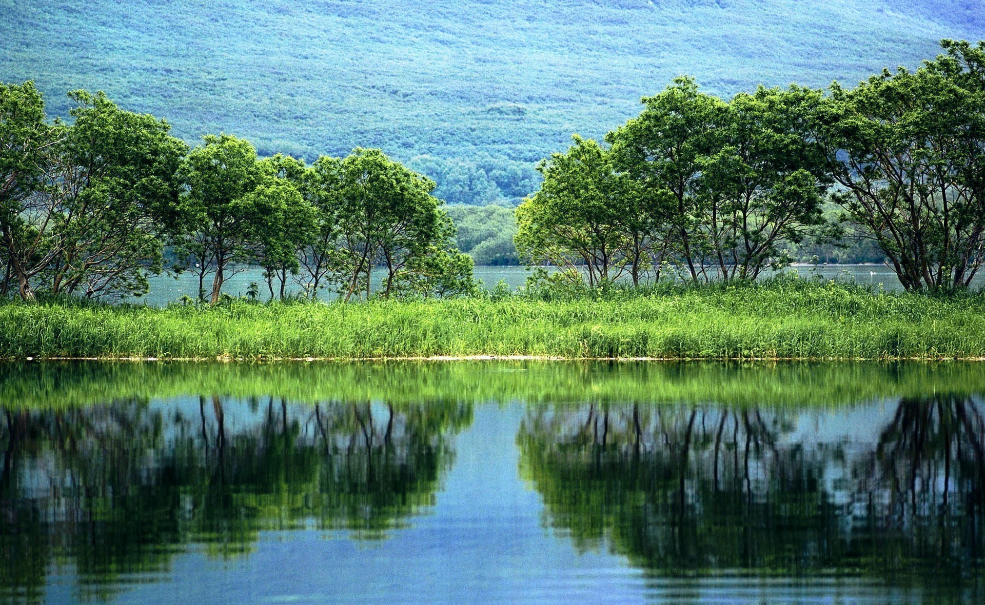 lac eau nature réflexion rivière paysage été ciel bois bois tropical piscine herbe sang-froid mangrove en plein air rural belle voyage