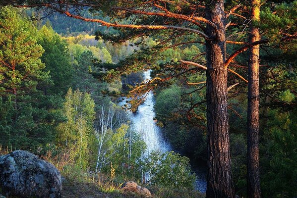 Красивый водопад на фоне дикого леса