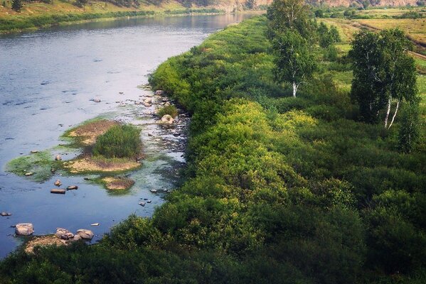 الأماكن الشهيرة للمناظر الطبيعية للأشجار على ضفاف النهر