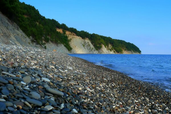 Kamyki morskie na skalistej plaży