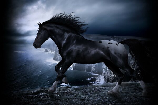 A horse in dark colors on the mountain in front of the sea