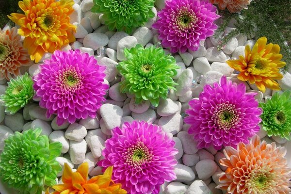 Flower arrangement of multicolored flowers