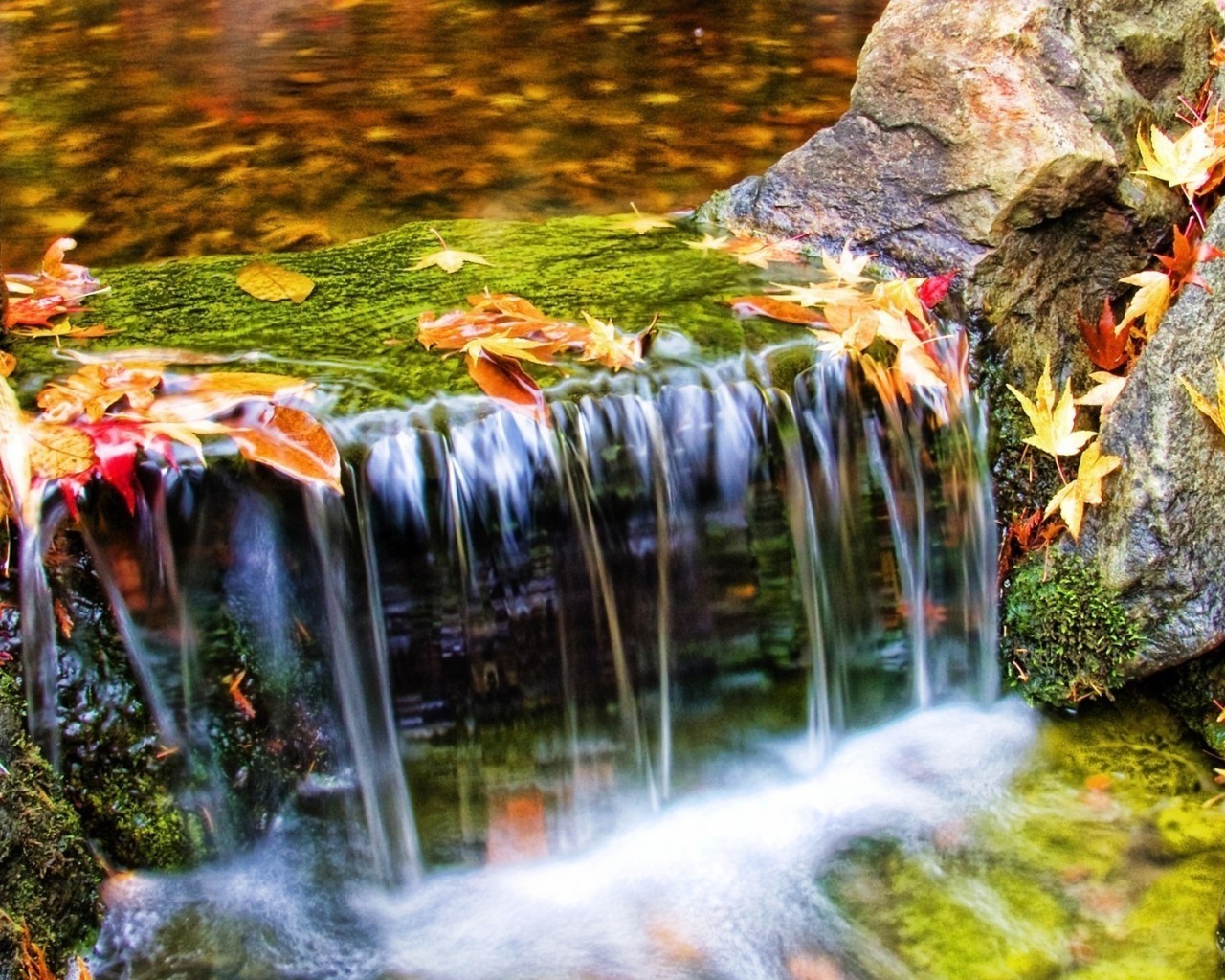 wodospady wodospad jesień woda natura kaskada rzeka liść mokry rozmycie przepływ na zewnątrz drewno splash creek mech park przepływ ruch