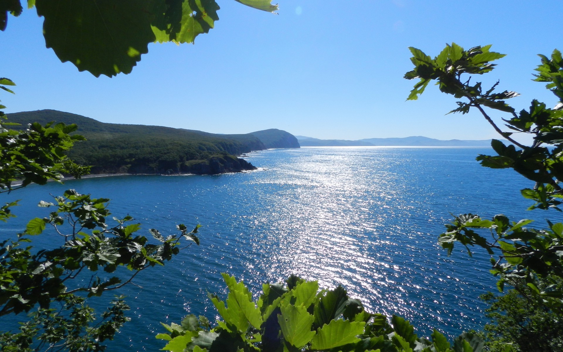 mare e oceano acqua natura albero estate viaggi paesaggio all aperto cielo mare foglia spiaggia mare isola sole